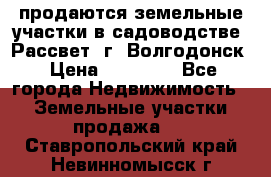 продаются земельные участки в садоводстве “Рассвет“ г. Волгодонск › Цена ­ 80 000 - Все города Недвижимость » Земельные участки продажа   . Ставропольский край,Невинномысск г.